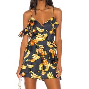 Song of Style Fruits Dress